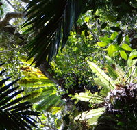 Byrrill Creek Walking Track - Accommodation in Brisbane