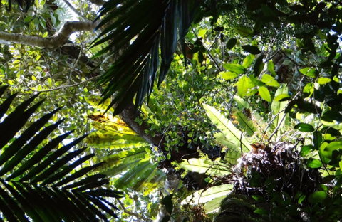 Byrrill Creek Walking Track - Accommodation in Brisbane 0