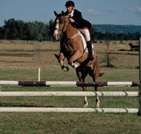 Camden Bicentennial Equestrian Park - Accommodation in Brisbane