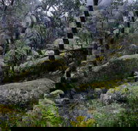 Cathedral Rock Track - Accommodation in Brisbane