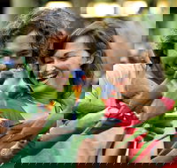 Currumbin Wildlife Sanctuary - Accommodation in Brisbane