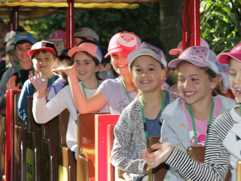 Currumbin Wildlife Sanctuary - Accommodation in Brisbane 1