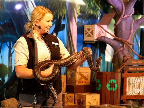 Currumbin Wildlife Sanctuary - Accommodation in Brisbane 2