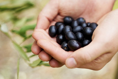 Eat, Pick, Grow Trail - Wanneroo And Chittering - Accommodation in Brisbane 0