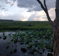 Fogg Dam Conservation Reserve - Accommodation in Brisbane