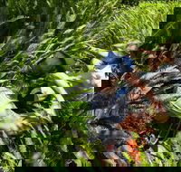 Georges Head - Accommodation in Brisbane