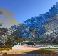 Grenfell Endemic Garden - Accommodation in Brisbane