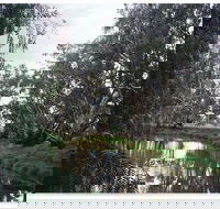 Henty Government Dam Nature Reserve - Accommodation in Brisbane
