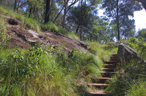 Ingleburn Reserve - Accommodation in Brisbane 2