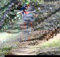 Kidsons Cycles - Accommodation in Brisbane