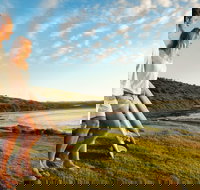 Killalea Reserve - Accommodation in Brisbane