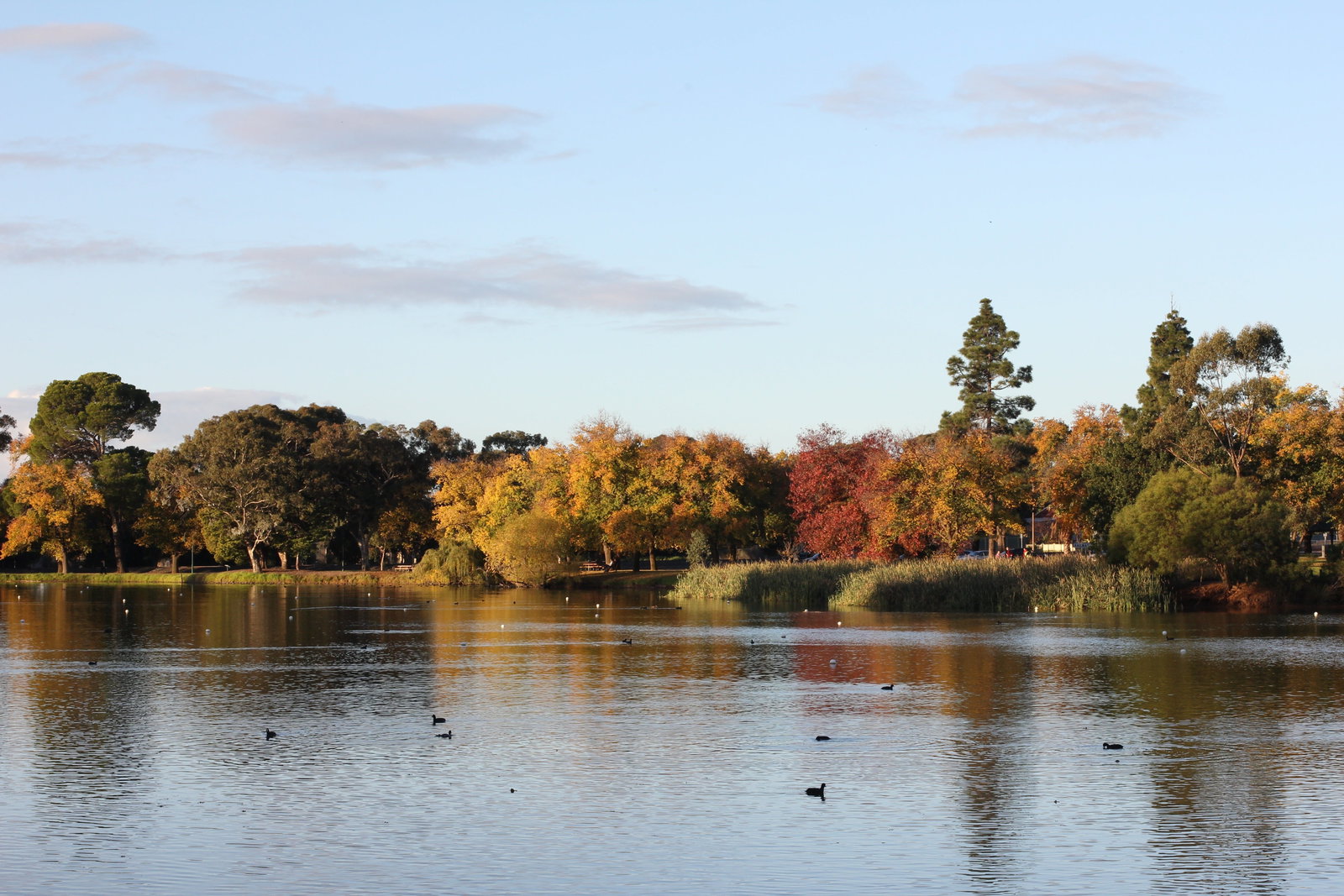 Accommodation in Brisbane