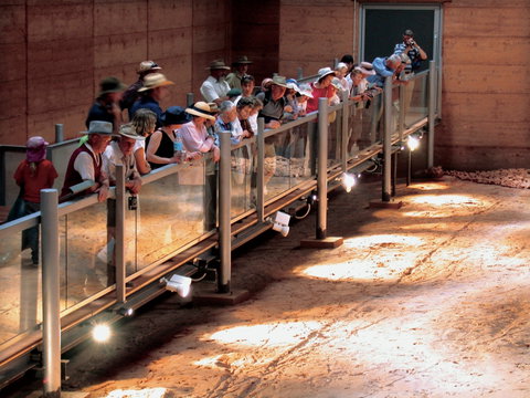 Lark Quarry Conservation Park - Accommodation in Brisbane 0