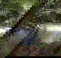 Marriotts Falls and Junee Caves - Accommodation in Brisbane