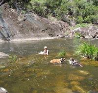Mount Boss State Forest - Accommodation in Brisbane