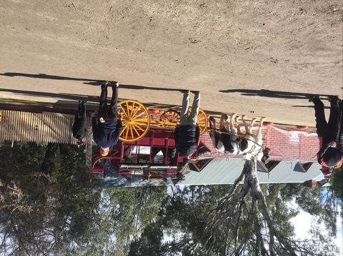 Nagambie Petanque Club Inc - Accommodation in Brisbane 1