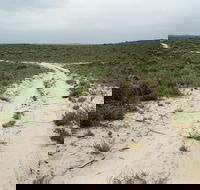 Ngarkat Conservation Park - Accommodation in Brisbane