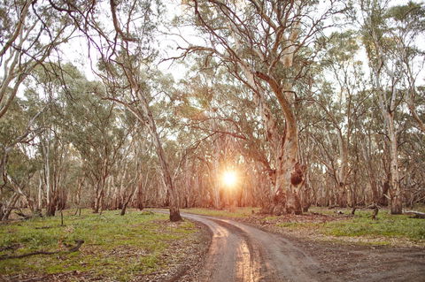 Nyah Vinifera Park - Accommodation in Brisbane 1