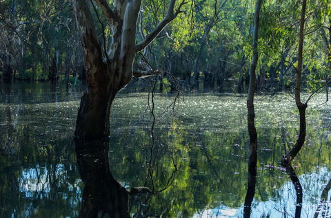 Nyah Vinifera Park - Accommodation in Brisbane 2