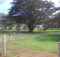Old Cemetery Kingscote - Accommodation in Brisbane