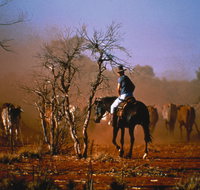 Outback Heritage and Coal Adventure - Accommodation in Brisbane
