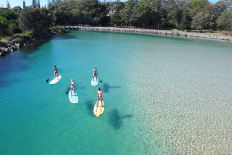 Paddleboard At Back Creek South West Rocks - Accommodation in Brisbane 0