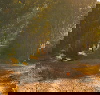 Raysource Road - Accommodation in Brisbane