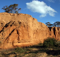 Red Banks Conservation Park - Accommodation in Brisbane