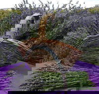 Rustique Lavender Farm - Accommodation in Brisbane