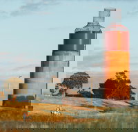 Rutherglen Wine Bottle - Accommodation in Brisbane