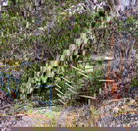 Sawpit Walking Track - Accommodation in Brisbane