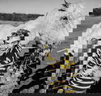 Spring Markets - Accommodation in Brisbane