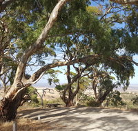 Spring Gully Conservation Park - Accommodation in Brisbane