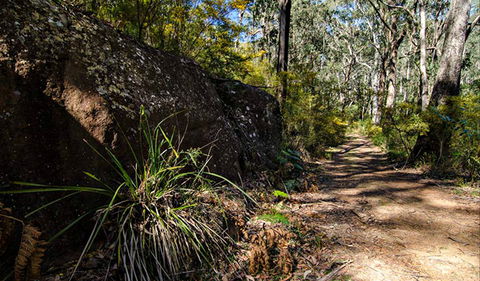 Starlights Trail - Accommodation in Brisbane 0