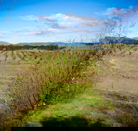 Tarago Truffles - Accommodation in Brisbane