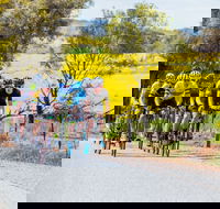 The Heron's Highway - Avon River Cycle Trail - Accommodation in Brisbane