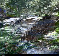 Towarri National Park - Accommodation in Brisbane