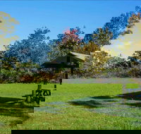 Tunks Hill picnic area - Accommodation in Brisbane