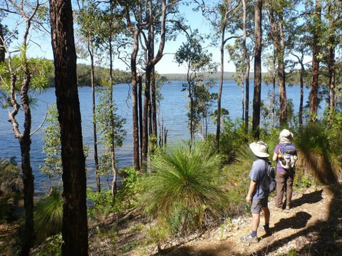 Wellington Discovery Forest - Accommodation in Brisbane 0