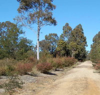 Werakata National Park - Accommodation in Brisbane