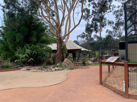 Zambi Wildlife Retreat - Accommodation in Brisbane 2