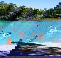 Black Diamond Lake - Accommodation in Brisbane