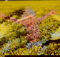 Canola Trail - Accommodation in Brisbane