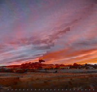 Cape Jervis - Accommodation in Brisbane