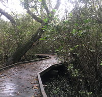 Carole Green Walkway - John Oxley Reserve - Accommodation in Brisbane