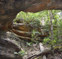 Cave Creek Walking Track - Accommodation in Brisbane