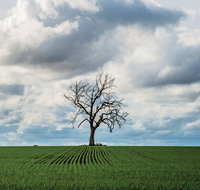 Clare Valley - Accommodation in Brisbane