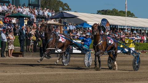 Club Menangle - Accommodation in Brisbane 2