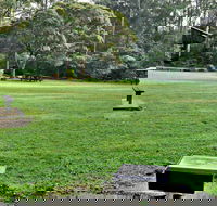 Cottonwood Glen Picnic Area - Accommodation in Brisbane