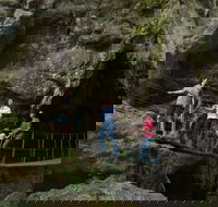 Day trips from Rockhampton - Accommodation in Brisbane